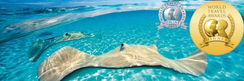 Cayman Islands Win World Travel Awards